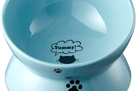Elevated Cat Food Bowl, Ceramic Raised Bowl, Tilt Angle Protects Cat'S Spine, anti Vomiting Dish, Backflow Prevention, Lake Blue