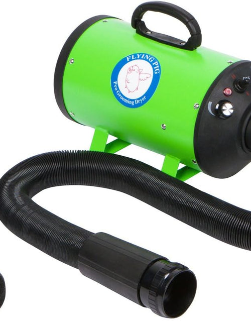Load image into Gallery viewer, Flying Pig High Velocity Dog Pet Grooming Dryer W/Heater (Model: Flying One, Green)

