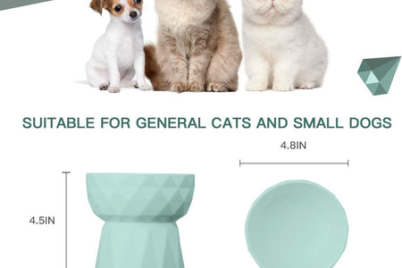Cat Bowls,Ceramic Cat Bowls anti Vomiting,Raised Food and Water Bowl Set for Cats and Small Dogs,13.5 Oz,Green