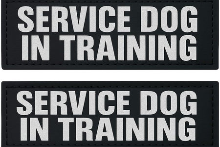 Reflective Service Dog in Training Patches with Hook Backing for Service Animal Vests /Harnesses Large (6 X 2) Inch