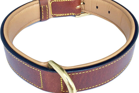 Brown XL Leather Padded Dog Collar, 28" Inches Long X 1.75" Inches Wide, Neck Size 22" to 25", Full Grain Real Luxury Leather for Xlarge Dogs