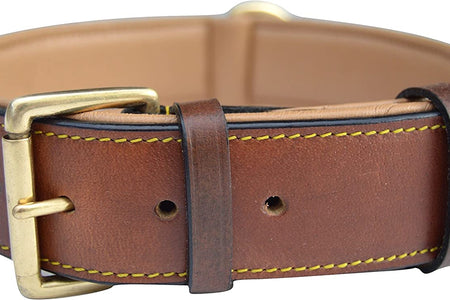 Brown XL Leather Padded Dog Collar, 28" Inches Long X 1.75" Inches Wide, Neck Size 22" to 25", Full Grain Real Luxury Leather for Xlarge Dogs