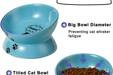 Elevated Cat Food Bowl, Ceramic Raised Bowl, Tilt Angle Protects Cat'S Spine, anti Vomiting Dish, Backflow Prevention, Lake Blue