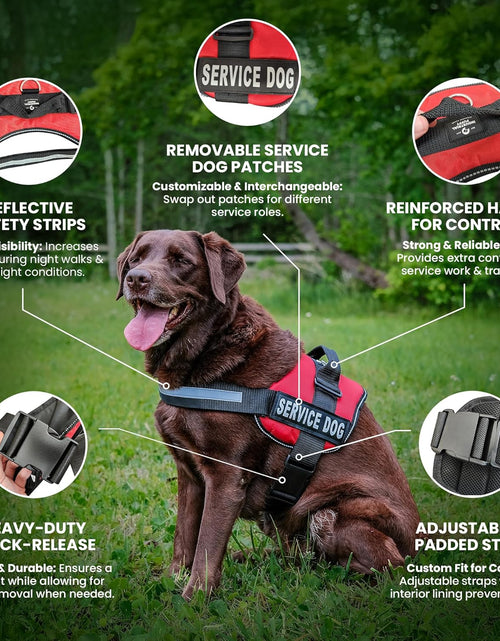 Load image into Gallery viewer, Service Dog Vest with Hook and Loop Straps &amp; Matching Service Dog Leash Set - Harnesses from XXS to XXL - Service Dog Harness Features Reflective Patch and Comfortable Mesh Design (Pink, XL)
