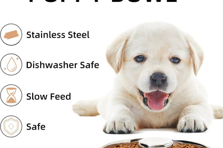 Stainless Steel Puppy Bowls, Set of 2 Puppy Feeder, Dog Food and Water Bowl, Food Feeding Weaning for Small Medium Large Dogs, Pets, M