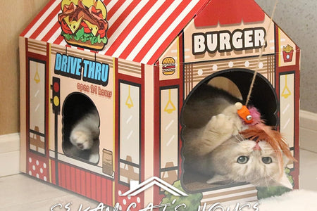 Cardboard Cat House with Scratcher/Catnip, (16.5''X12''X15'') Burger Shop for Indoor/Outdoor Cats, Cat Play House&Home Decor, Cat Scratch Toy, Hideout for Bunny&Small Animals