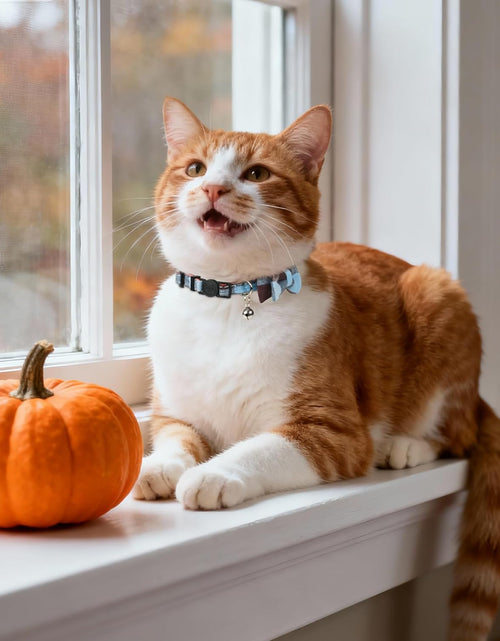 Load image into Gallery viewer, Upgraded Cat Collar with Bells, Breakaway Cat Collars with Bow Tie, 1 Pack Girl Boy Safety Plaid Kitten Collars, Haze Blue
