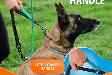 Heavy Duty Rope Bungee Leash for Large and Medium Dogs with Anti-Pull for Shock Absorption - No Slip Reflective Leash for Outside