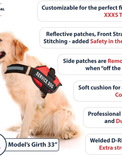 Load image into Gallery viewer, Service Dog Vest with Hook and Loop Straps &amp; Matching Service Dog Leash Set - Harnesses from XXS to XXL - Service Dog Harness Features Reflective Patch and Comfortable Mesh Design (Pink, XL)
