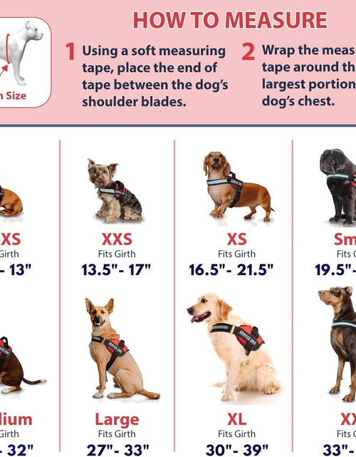 Load image into Gallery viewer, Service Dog Vest with Hook and Loop Straps &amp; Matching Service Dog Leash Set - Harnesses from XXS to XXL - Service Dog Harness Features Reflective Patch and Comfortable Mesh Design (Pink, XL)
