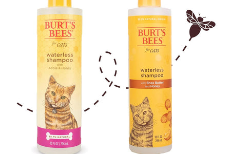 Cat Natural Waterless Shampoo with Apple and Honey | Cat Waterless Shampoo Spray | Easy to Use Cat Dry Shampoo for Fresh Skin and Fur without a Bath | Made in the USA, 10 Oz