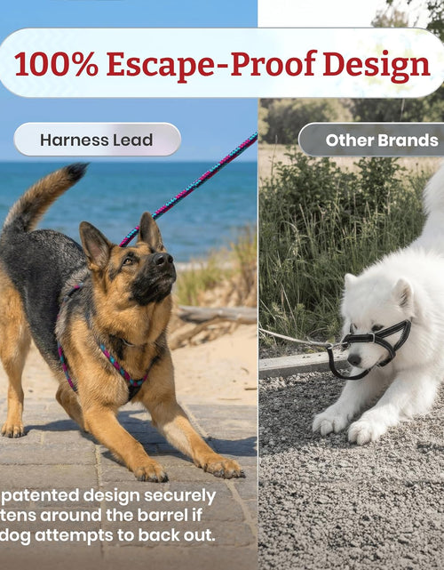 Load image into Gallery viewer, No Pull Dog Harness and Leash Set, anti Pull Dog Harness for All Breeds and Sizes, One-Piece Cushioned Rope Design Safely Prevents Escaping and Pulling (Small/Medium, Orange/Reflective)
