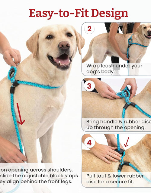 Load image into Gallery viewer, No Pull Dog Harness and Leash Set, anti Pull Dog Harness for All Breeds and Sizes, One-Piece Cushioned Rope Design Safely Prevents Escaping and Pulling (Small/Medium, Orange/Reflective)
