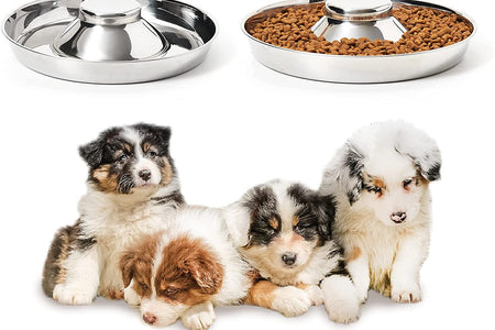 Stainless Steel Puppy Bowls, Set of 2 Puppy Feeder, Dog Food and Water Bowl, Food Feeding Weaning for Small Medium Large Dogs, Pets, M