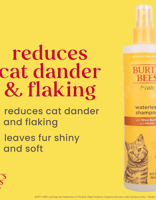 Load image into Gallery viewer, Cat Natural Waterless Shampoo with Apple and Honey | Cat Waterless Shampoo Spray | Easy to Use Cat Dry Shampoo for Fresh Skin and Fur without a Bath | Made in the USA, 10 Oz
