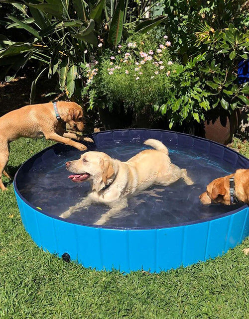 Load image into Gallery viewer, Dog Pool Foldable Pet Outdoor Swimming Pool Collapsible Anti-Slip Hard PVC Pet Paddling Bathtub for Large and Xtra Large Dogs, Kids, Pets((63'' * 12'')/(160Cm X 30Cm))
