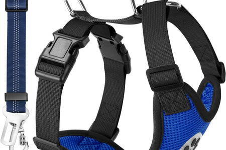 Dog Seat Belt for Car, Adjustable Dog Car Harness for Large Medium Small Dogs, Soft Padded & Breathable Mesh Dog Seatbelt with Car Strap and Carabiner (Blue,M)