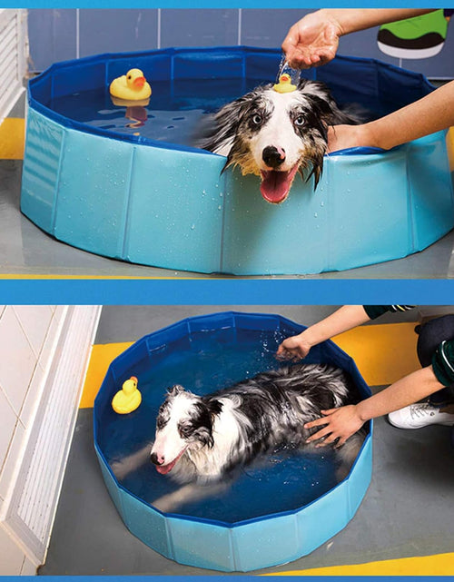 Load image into Gallery viewer, Dog Pool Foldable Pet Outdoor Swimming Pool Collapsible Anti-Slip Hard PVC Pet Paddling Bathtub for Large and Xtra Large Dogs, Kids, Pets((63'' * 12'')/(160Cm X 30Cm))

