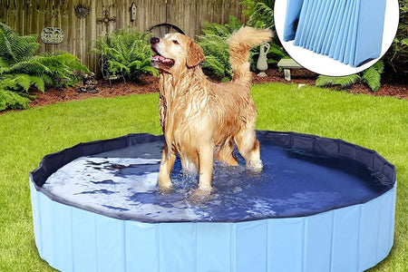 Dog Pool Foldable Pet Outdoor Swimming Pool Collapsible Anti-Slip Hard PVC Pet Paddling Bathtub for Large and Xtra Large Dogs, Kids, Pets((63'' * 12'')/(160Cm X 30Cm))