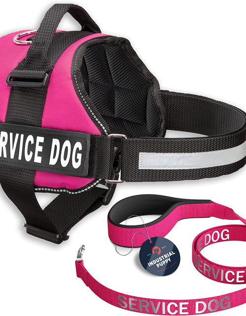 Load image into Gallery viewer, Service Dog Vest with Hook and Loop Straps &amp; Matching Service Dog Leash Set - Harnesses from XXS to XXL - Service Dog Harness Features Reflective Patch and Comfortable Mesh Design (Pink, XL)
