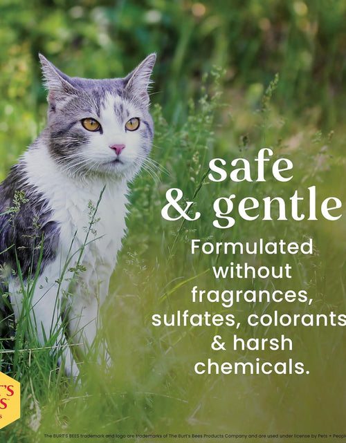 Load image into Gallery viewer, Cat Natural Waterless Shampoo with Apple and Honey | Cat Waterless Shampoo Spray | Easy to Use Cat Dry Shampoo for Fresh Skin and Fur without a Bath | Made in the USA, 10 Oz

