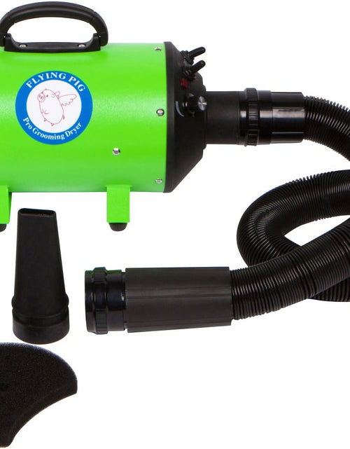 Load image into Gallery viewer, Flying Pig High Velocity Dog Pet Grooming Dryer W/Heater (Model: Flying One, Green)
